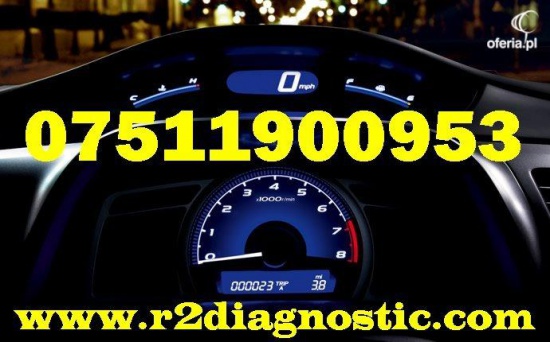 R2DIAGNOSTIC Naprawa elektryka diagnostyka  czyszczenie filtrow D